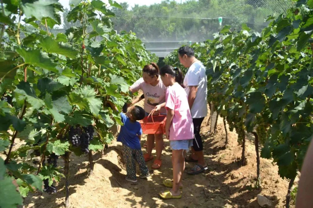 DM_20220725093247_002.jpg