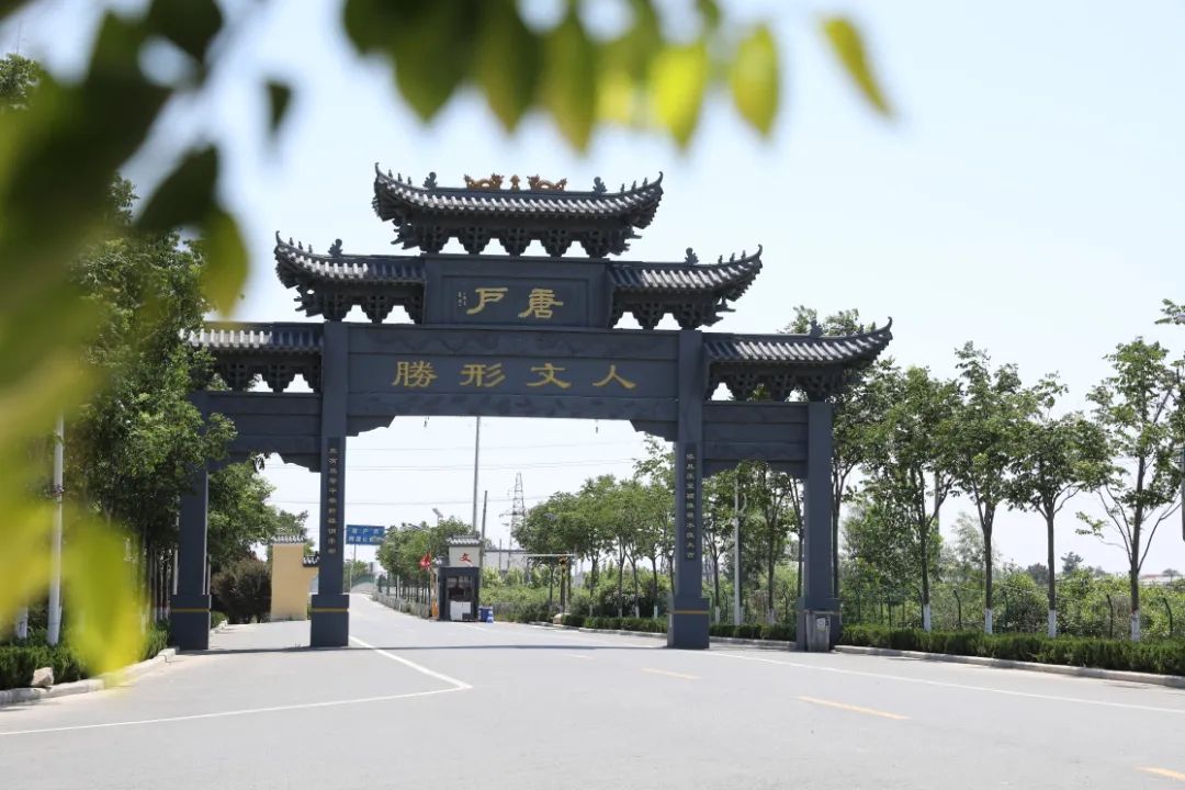 观音寺镇五星闪耀照亮乡村振兴路