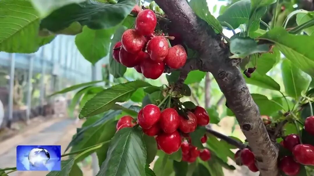 DM_20260424100109_004.jpg