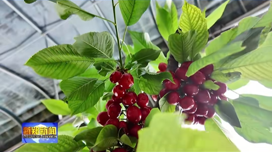 DM_20260424100109_005.png