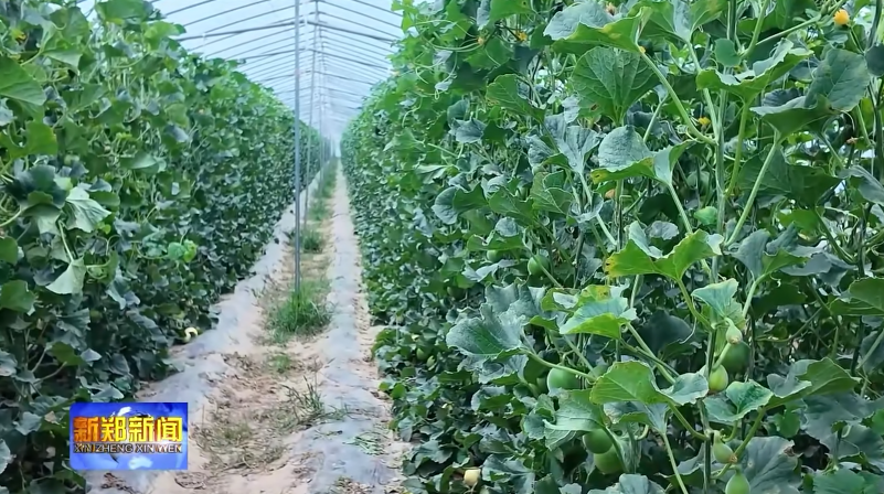 DM_20260506103130_001.png