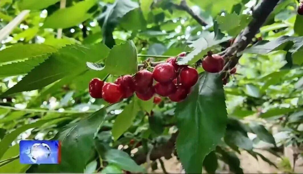 DM_20260508094533_002.jpg