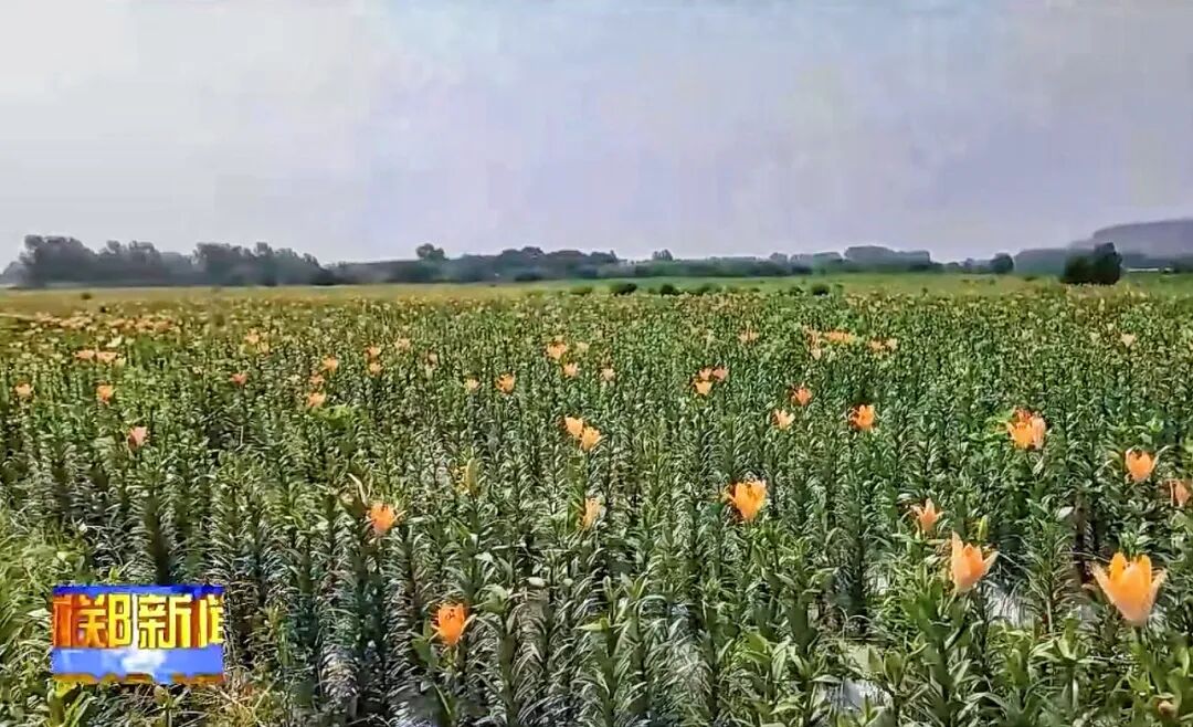 DM_20260622095745_001.jpg